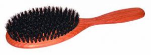 brosse poils sanglier