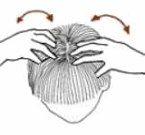 gym_cheveux_01